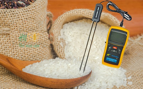 Máy đo độ ẩm nông sản TCVN-GM01 thực tế