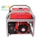 Máy phát điện chạy xăng 3KW Vinafarm 4900 3